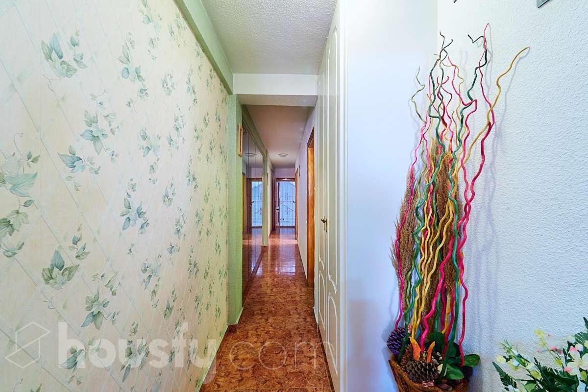 Stefy House Apartment Torrevieja Exterior photo